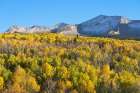USA, Colorado, Gunnison National Forest. Mountain and aspen forest in autumn. Art Print